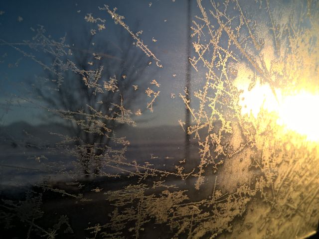 Frost patterns forming on a window as the sun rises in the background. A silhouette of a tree is visible through the frosted glass, suggesting a cold winter morning. Ideal for themes related to winter, nature, tranquility, and the contrast between warmth and cold. Suitable for seasonal promotions, nature articles, and inspirational winter scenes.