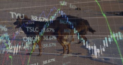 Mixed Reality: Data Visualization Overlaid on Beach Scene with Dogs