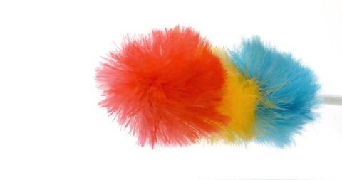 Colorful Feather Duster Against White Background - Download Free Stock Images Pikwizard.com