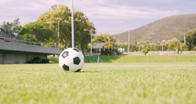 Photo of soccer ball resting on green field within a sunny park, under clear blue sky. This can be used for promoting soccer events, outdoor activities, sports gear, nature, and summer recreations.