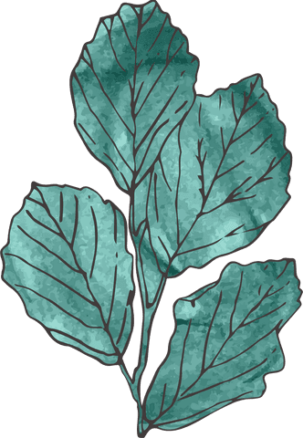 Transparent Artistic Leaf Illustration in Green Watercolor Style - Download Free Stock Videos Pikwizard.com