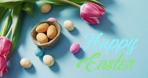 Colorful Easter Eggs and Tulips on Blue Background - Download Free Stock Images Pikwizard.com