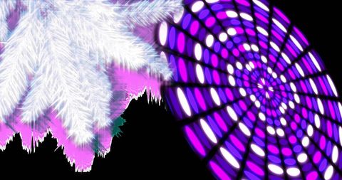 Festive Glow of Twinkling Circle and Frosted Fir Branch