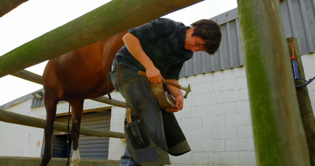 Low angle view of a woman blacksmith putting horseshoes in horse leg at stable. Hitting it with a hammer.