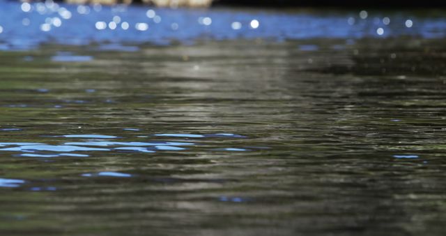 Rippling water reflects light, creating a tranquil and serene surface, with copy space - Download Free Stock Photos Pikwizard.com