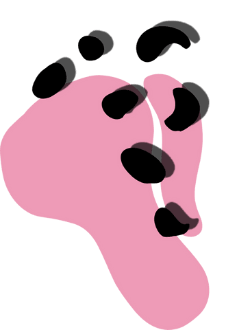 abstract overlapping pink blobs with black ovals on transparent background - Download Free Stock Videos Pikwizard.com