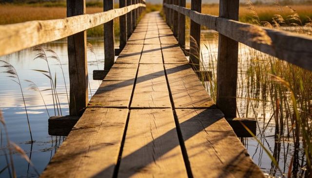 Golden wooden boardwalk leading through marsh at sunset, reflecting reeds and water
