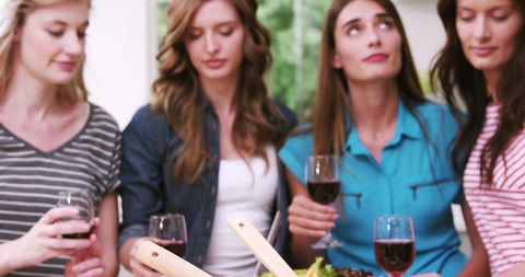 Group of Friends Enjoying Lunch Together at Home