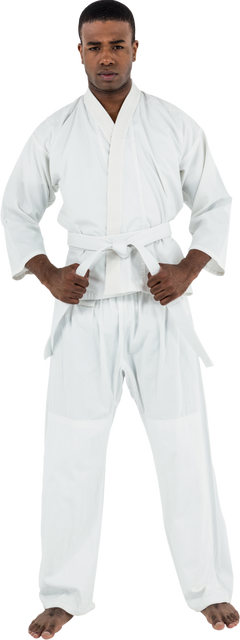 Confident Karate Fighter Standing in Traditional Gi on Transparent Background - Download Free Stock Videos Pikwizard.com