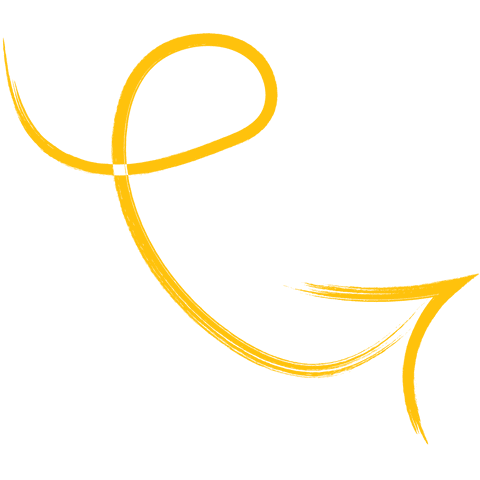 arrow looping towards right on transparent background - Download Free Stock Videos Pikwizard.com