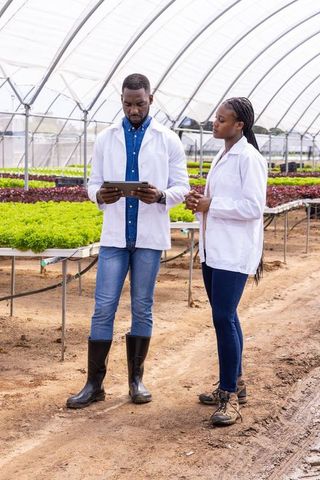 Scientists Examining Seedlings with Technology in Greenhouse