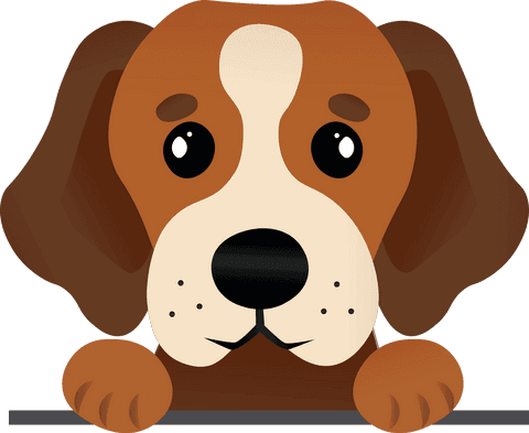 cartoon brown dog face on transparent background - Download Free Stock Videos Pikwizard.com
