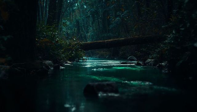 Mystical Forest Stream with Fallen Log Bridge