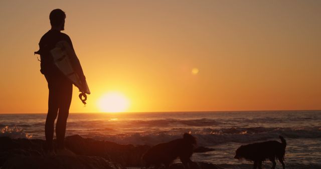 Surfer holding surfboard and standing on rock with two dogs looking out at ocean during sunset. Ideal for content related to outdoor activities, adventure, leisure, surfing lifestyle, and inspirational beach scenes.