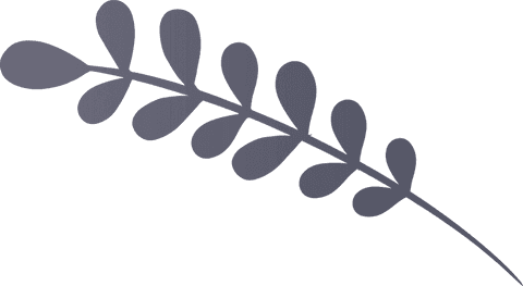 stylized dark gray leaf branch on transparent background - Download Free Stock Videos Pikwizard.com