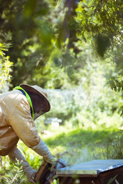 Caucasian senior man wearing beekeeper uniform trying to calm bees with smoke - Download Free Stock Photos Pikwizard.com