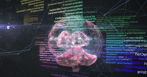Digital Brain with Holographic Data Streams - Download Free Stock Images Pikwizard.com