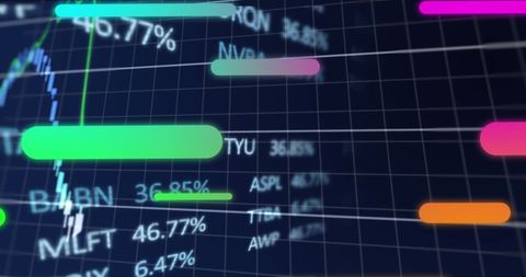 Financial Data Analysis with Dynamic Digital Interface