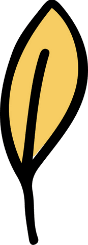 Transparent minimalist yellow leaf with black vein illustration