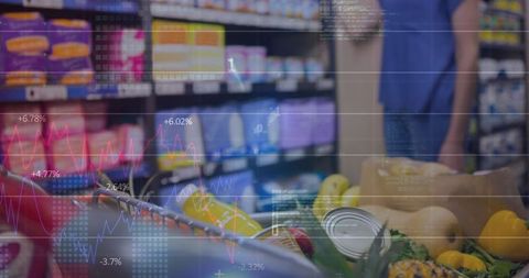 Grocery Shopping with Overlay of Financial Data Analytics - Download Free Stock Images Pikwizard.com