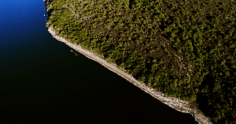Transparent Blue Water Meeting Lush Green Coastline Top View