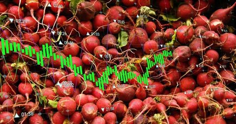 Organic Radishes with Overlaid Financial Data