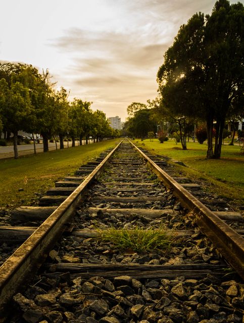 Rustic railroad tracks extend into the horizon during sunset, flanked by trees and grass on both sides. This setting is perfect for use in travel, transportation, outdoors, or motivational projects. It captures feelings of journey and adventure, suitable for blogs, articles, or websites centered on exploration and scenic landscapes.