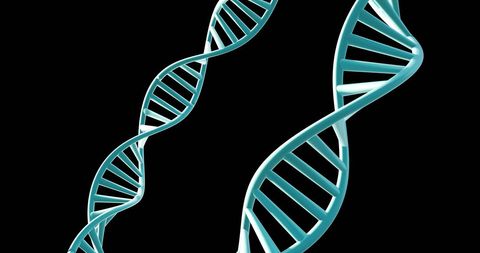 3D Spinning DNA Strands on Black Background with Copy Space - Download Free Stock Images Pikwizard.com