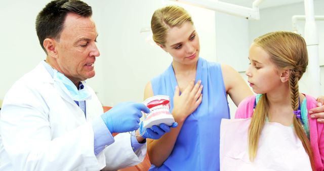 A middle-aged Caucasian dentist is explaining dental hygiene to a young girl and her mother, with copy space. His demonstration with a tooth model and toothbrush provides an educational moment in dental care.