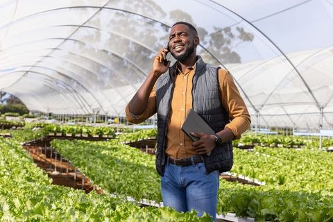 Farmer Using Smartphone in Greenhouse with Tablet in Hand