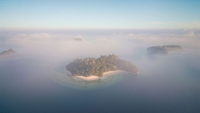 Serene tropical island in misty dawn light with lush palms and white sands