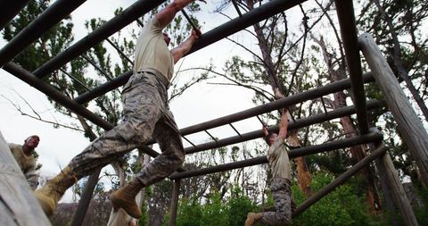 Military Training Exercises in Outdoor Obstacle Course - Download Free Stock Images Pikwizard.com