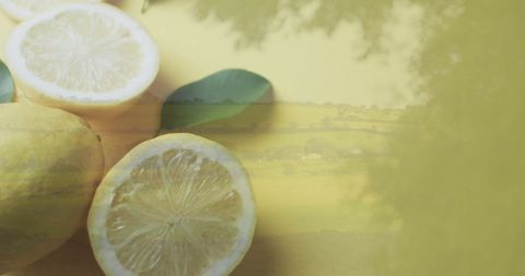 Lemon Slices Blended with Country Landscape