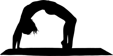 silhouette of women bending over backwards in transparent style - Download Free Stock Videos Pikwizard.com