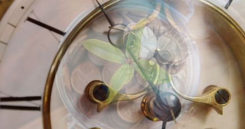 Ticking Clock Over Coin Jar: Conceptual Finance and Economy