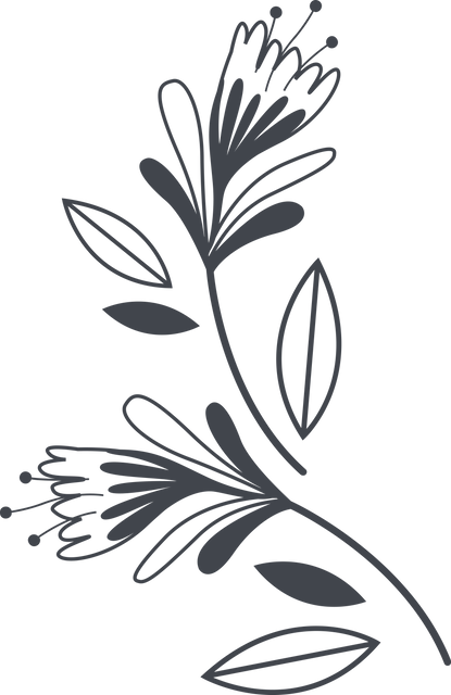 Elegant Black Flower Illustration on Transparent Background - Download Free Stock Videos Pikwizard.com