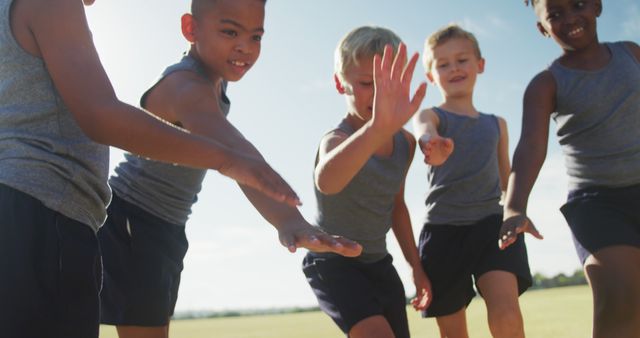 Happy Kids Playing Outdoor Team Game on Sunny Field - Download Free Stock Images Pikwizard.com