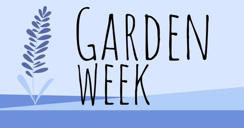 Garden Week Celebration with Stylish Blue Flower Design - Download Free Stock Images Pikwizard.com