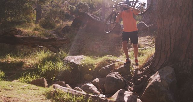 Mountain Biker Carrying Bike Over Rough Terrain in Forest - Download Free Stock Images Pikwizard.com