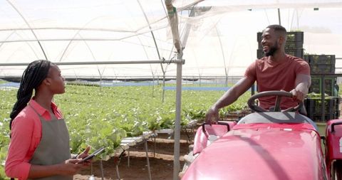 Farm Worker on Tractor Conversing with Colleague Inside Greenhouse
