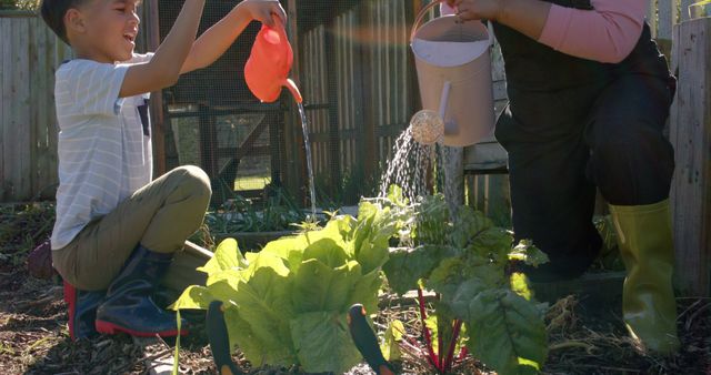 Mother and Son Watering Plants in Community Garden - Download Free Stock Images Pikwizard.com