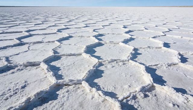 Hexagonal salt-crust tessellation on expansive white salt plain with raised rims