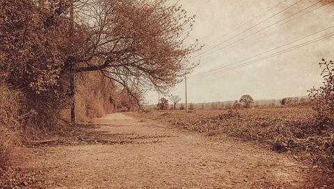 Sepia country lane receding into rural horizon with leaning tree and utility poles