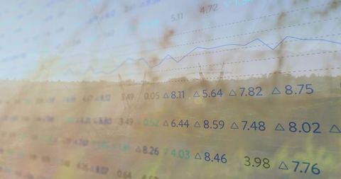 Financial analytics overlaid on rural energy infrastructure