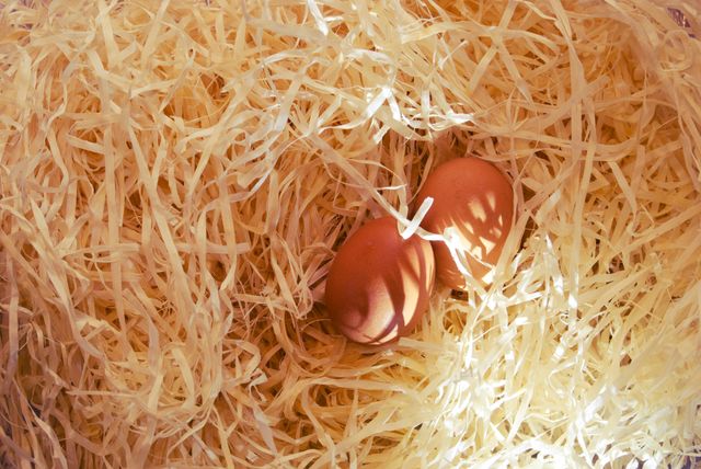 Two brown eggs are nestled in a bed of straw, evoking themes of organic farming and freshness. The rustic setting emphasizes natural, farm-produced foods. Perfect for use in agricultural promotions, organic food advertisements, or rural lifestyle content.