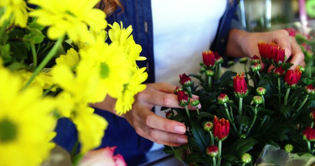 Florist Arranging Colorful Flowers in Shop - Download Free Stock Images Pikwizard.com