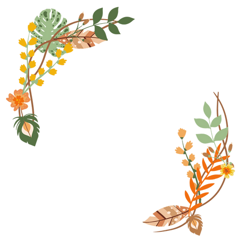 Elegant Floral Corner Design with Transparent Background - Download Free Stock Videos Pikwizard.com