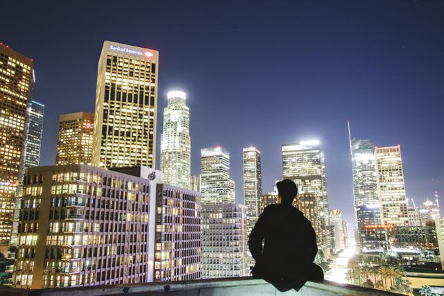 Silhouette of person overlooking cityscape filled with lit-up skyscrapers at night. Use to depict urban life, city living, metropolitan vibes, night photography, or travel themes.