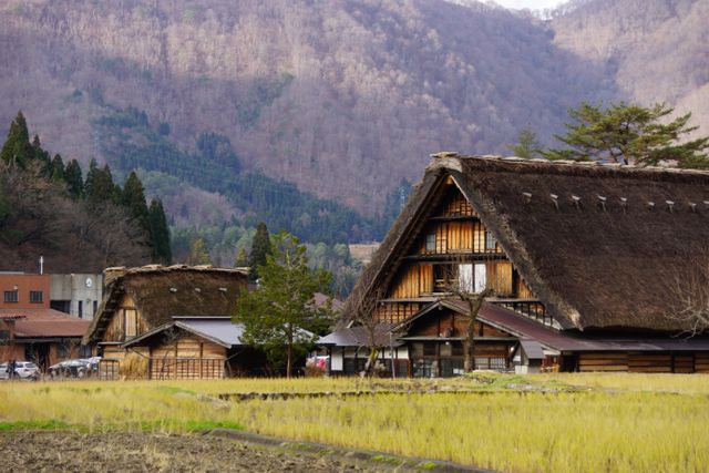 Traditional Japanese Thatched Roof House in Rural Mountain Village - Download Free Stock Photos Pikwizard.com
