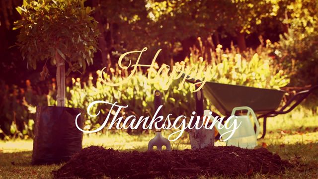 This video can be used for Thanksgiving greeting cards, holiday invites, festive social media posts, and seasonal gardening newsletters. The warm autumn colors and gardening tools create a cozy, welcoming scene suitable for celebrating the Thanksgiving holiday.